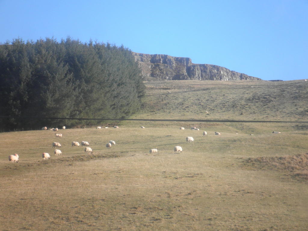 Rockfoot B&B Fintry Exterior foto